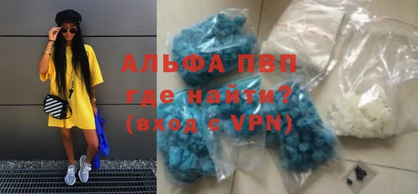 PSILOCYBIN Майский