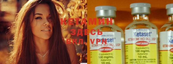 PSILOCYBIN Майский
