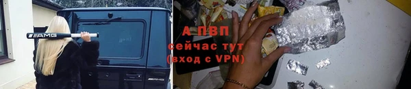 PSILOCYBIN Майский