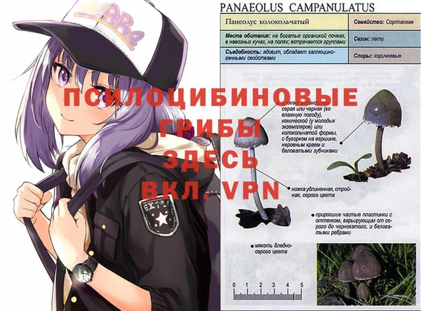 гидропоника Аша
