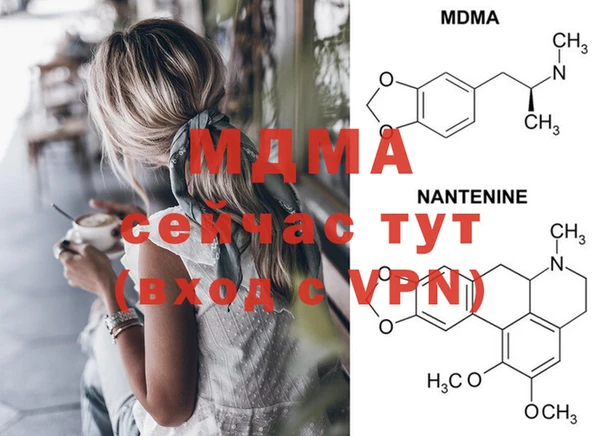 PSILOCYBIN Майский