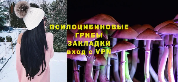прущие крисы Магадан