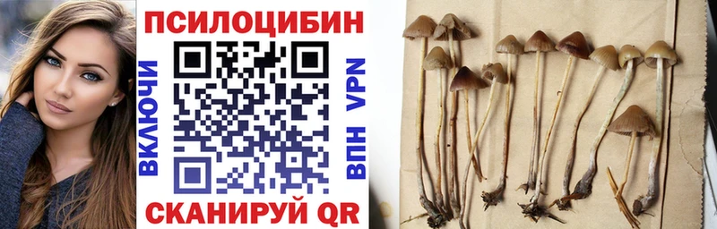 Галлюциногенные грибы ЛСД  Муравленко 